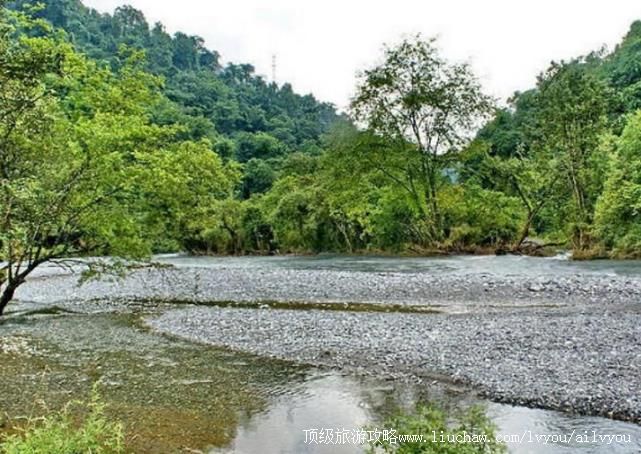 4A�Ĵ��Ű����Ⱥ�ɭ�ֹ�԰���ι���