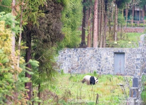 4A�Ĵ����˷�Ͱկ�˳ع��������ι���