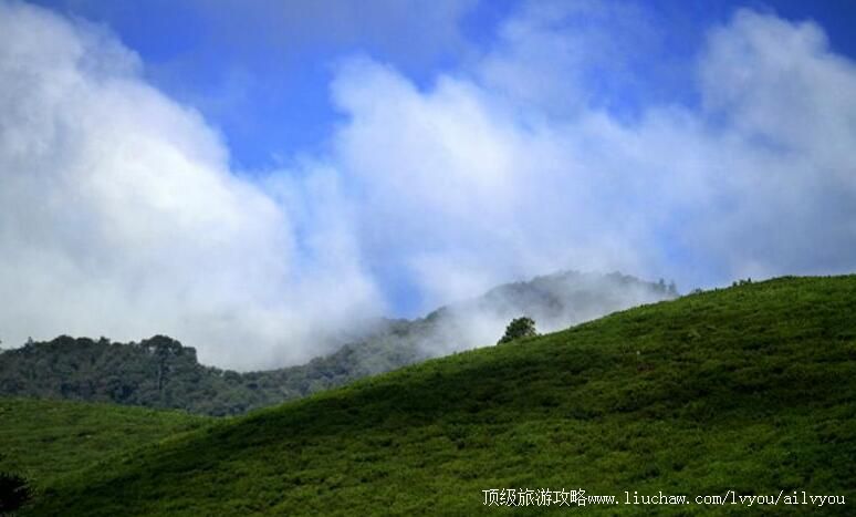 4A�Ĵ���֦���������ѹȸ�������̬���������ι���