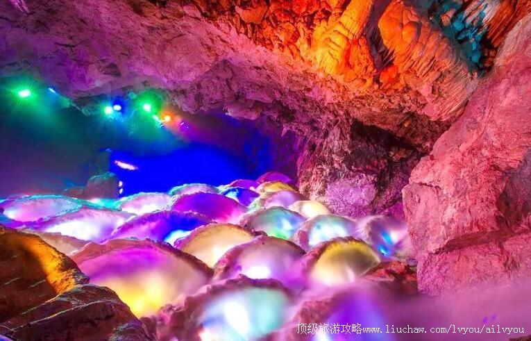 4A�Ĵ���֦����������������ι���