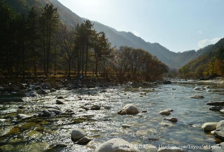 4A�����ںӹ���ɭ�ֹ�԰���ι���