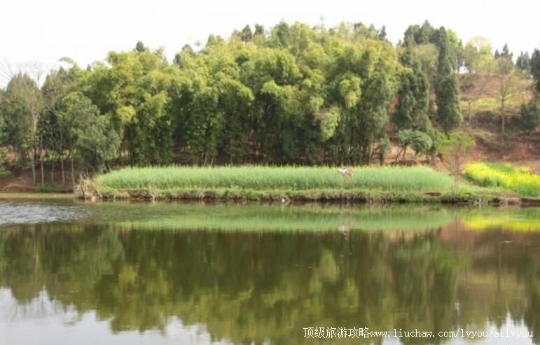 �Ĵ���������ˮ�����ι���