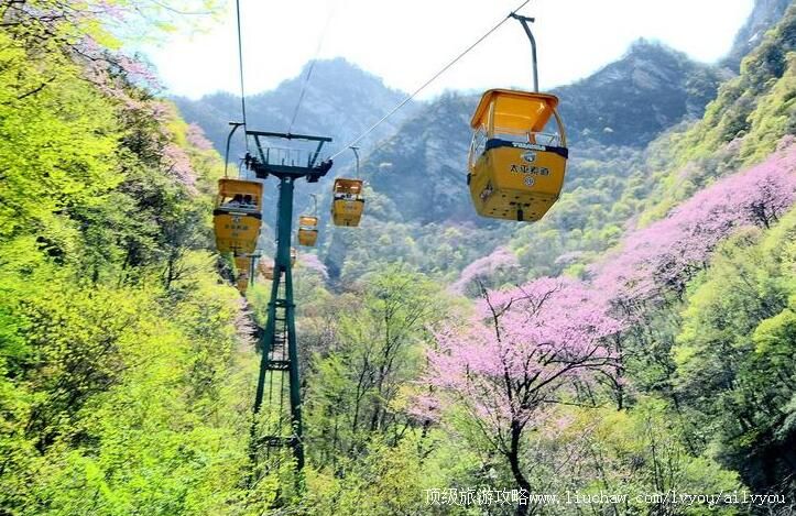 4A����̫ƽ����ɭ�ֹ�԰���ι���