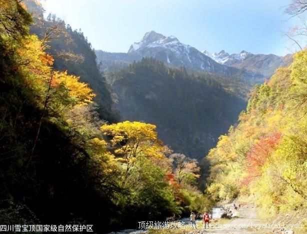 �Ĵ�ѩ�������Ҽ���Ȼ���������ι���