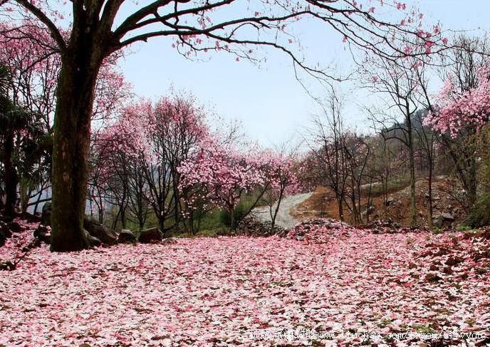 4A四川绵阳北川药王谷旅游攻略