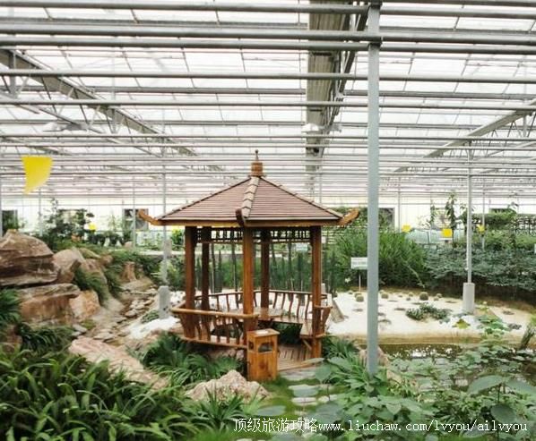 4A�Ĵ�����ά˹��ũҵ�������������ι���