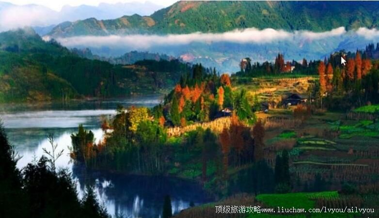 4A�Ĵ���������ɽɭ�ֹ�԰���ι���