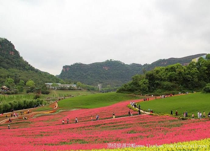 4A�Ĵ�������Ϫ����Ƶ����ξ������ι���