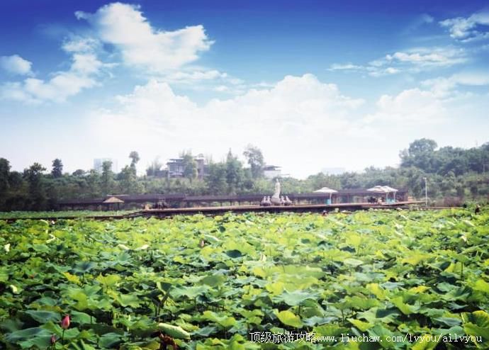 4A�Ĵ����������Ļ���̬԰���ι���