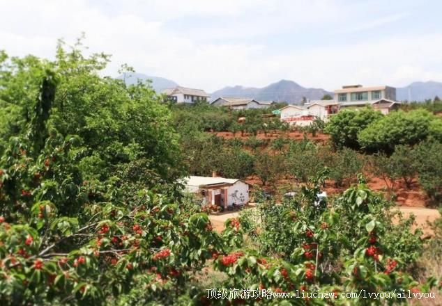 4A四川西昌茅坡樱红景区旅游攻略