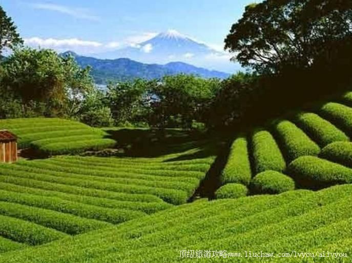 4A�Ĵ���ɽ�н��츣�۹��԰���ι���