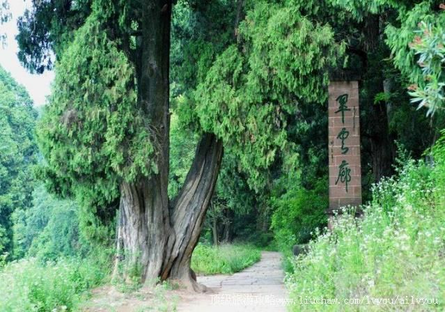 4A�Ĵ�������������ι���