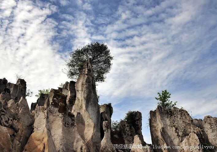 4A�Ĵ��㰲����ɽ���������ι���