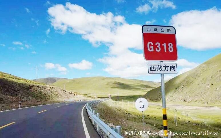 �Ĵ�318�������������ι���