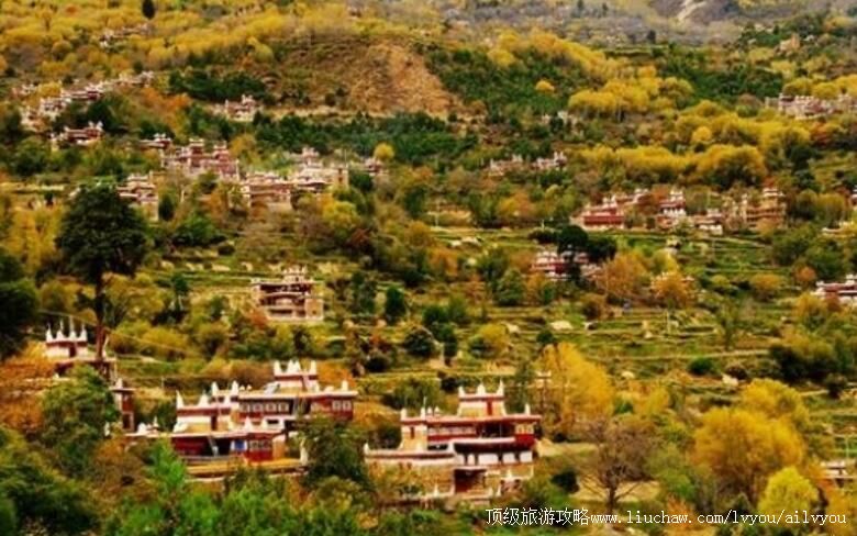 4A�Ĵ����μ׾Ӳ�կ���ι���