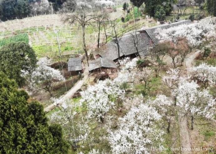 4A四川达州乌梅山旅游景区旅游攻略