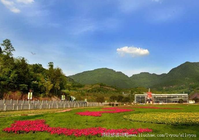 4A�Ĵ�������ʯ�º����������ι���