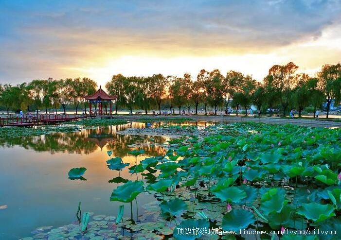 4A河南濮阳濮上园景区旅游攻略