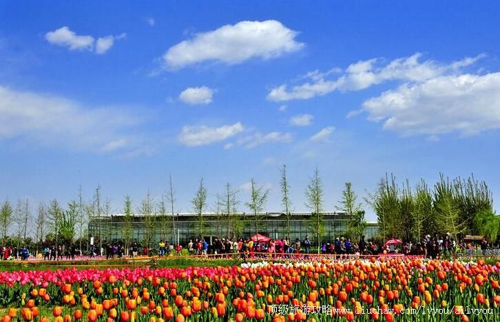 4A���������㶫�ִ�����ũҵ����԰���ι���