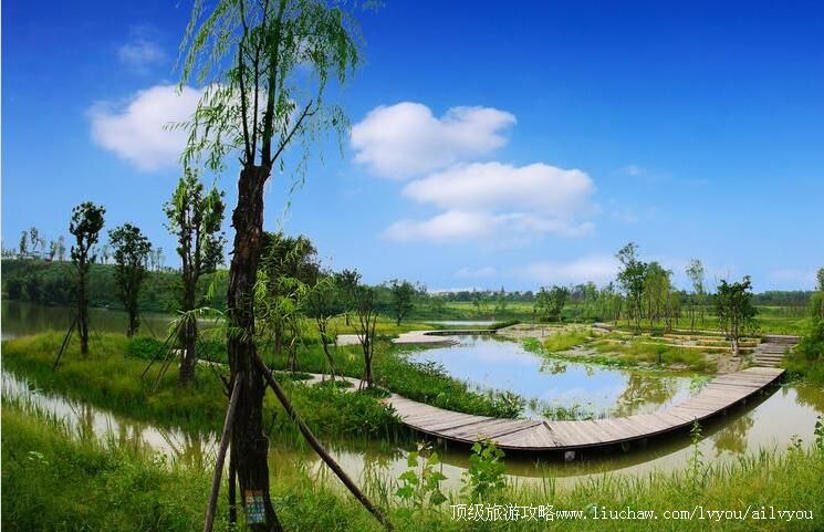 四川成都白鹭湾生态湿地公园旅游攻略