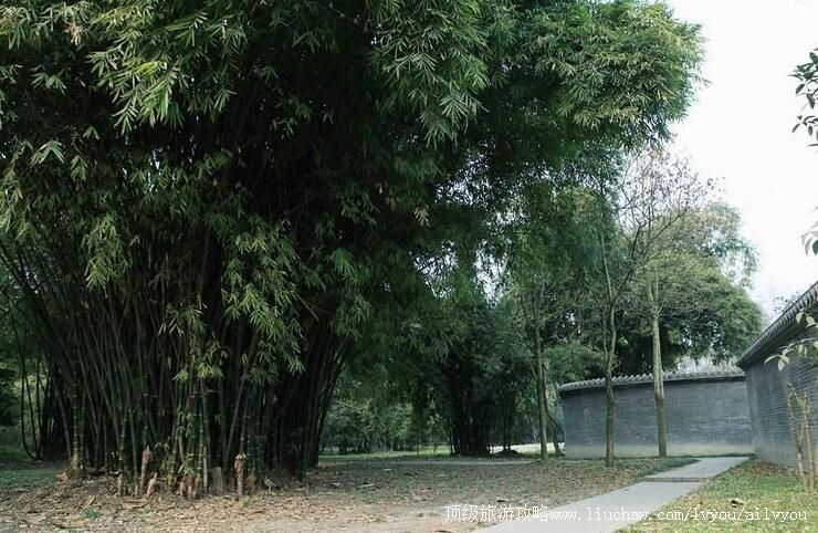 4A�Ĵ��½�����ֹ�԰���ι���