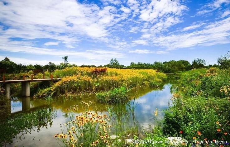 4A�Ĵ��½��Ҹ���԰���ι���