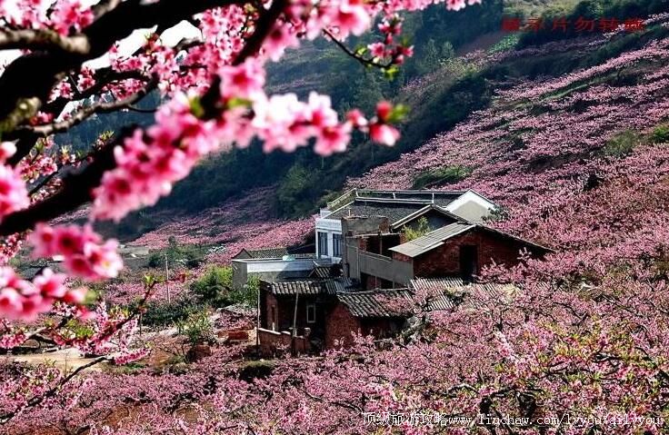 4A�Ĵ��ɶ��һ��������ξ������ι���