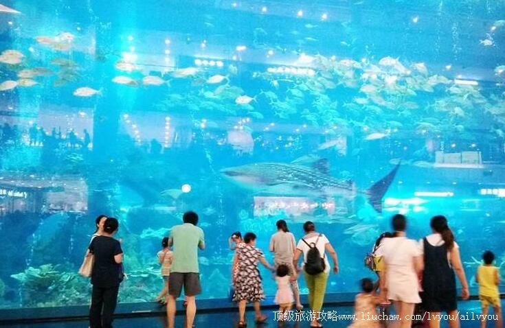 4A�Ĵ��ɶ������ۺ������ξ������ι���