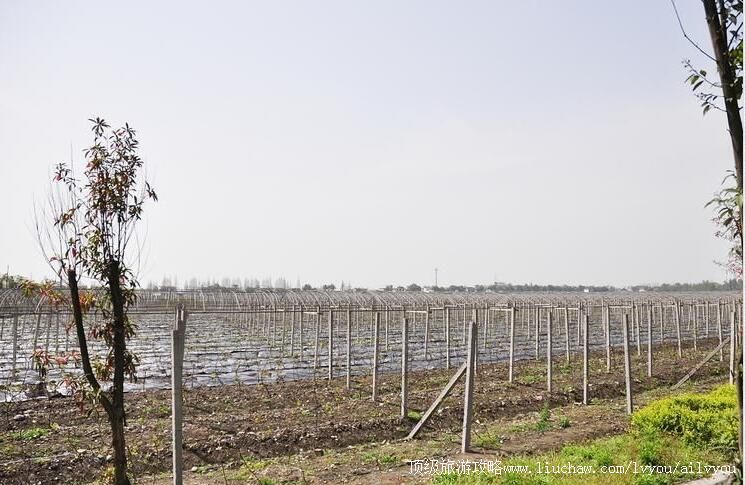 3A�Ĵ���ƺ��Ķ�л��������жȼ������ι���