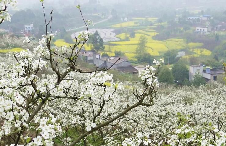 3A�Ĵ�˫�����������������ι���