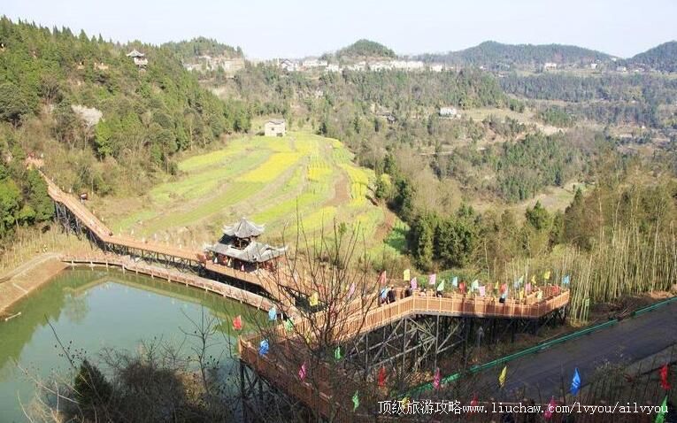 4A�Ĵ�ƽ��������ɭ�ֹ�԰���ι���