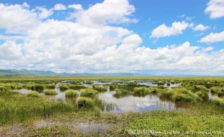 4A四川若尔盖花湖风景区旅游攻略