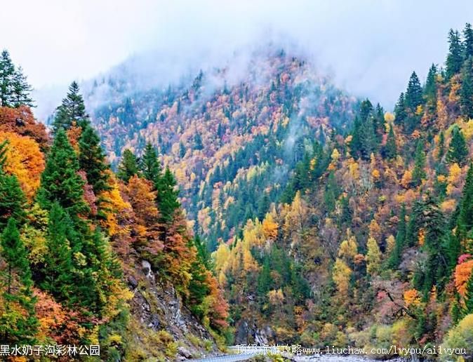 4A�Ĵ���ˮ���ӹ����ֹ�԰���ι���