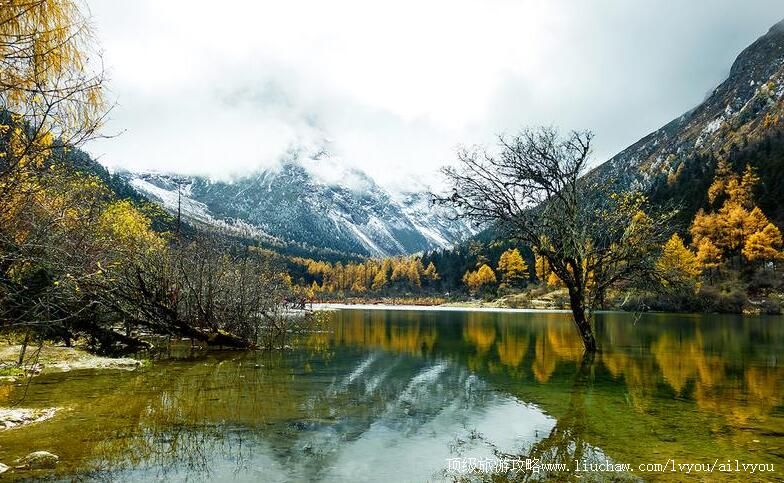 4A�Ĵ����ӱ��﹵�羰�����ι���