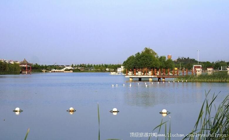 3A山东淄博桓台红莲湖公园景区旅游攻略