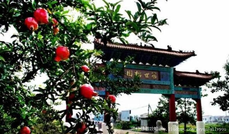 4Aɽ����ׯ������԰���������ι���