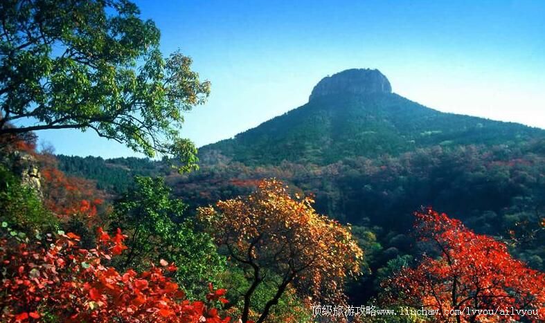 4Aɽ�������Ĺ���ɭ�ֹ�԰���ι���