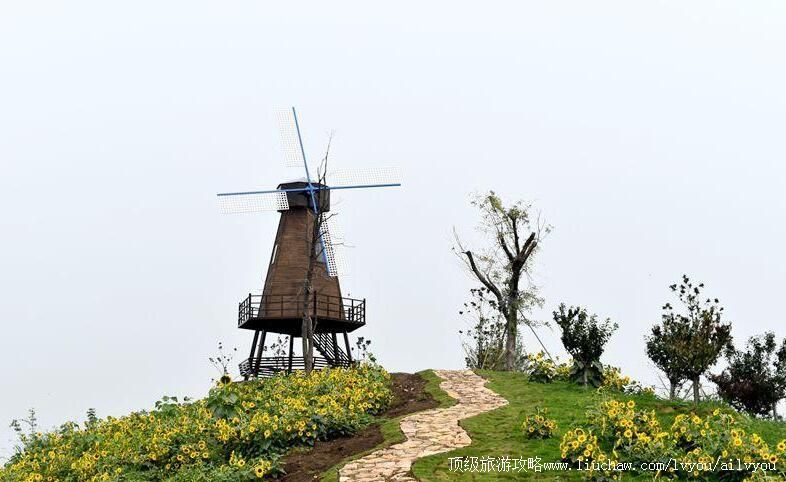 3Aɽ����ׯ���ׯ԰�������ι���