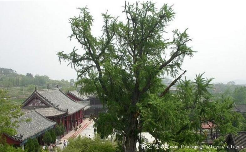 1Aɽ����ׯ��Ȫ�������ι���