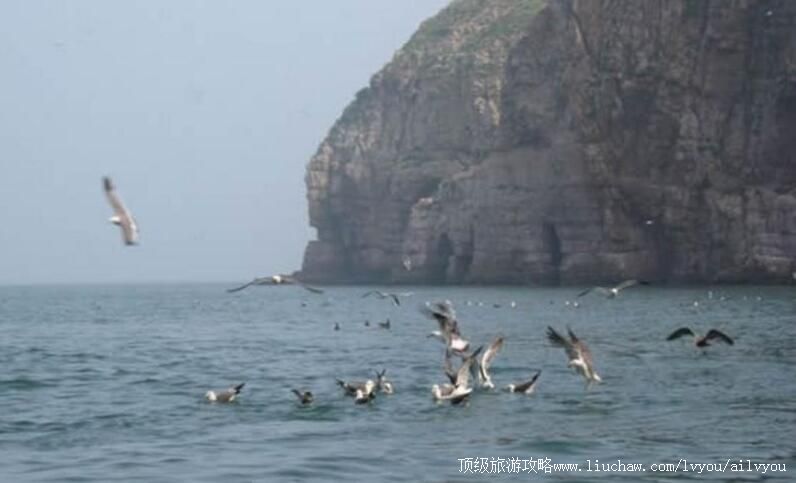 ɽ���������Ҽ���Ȼ���������ι���