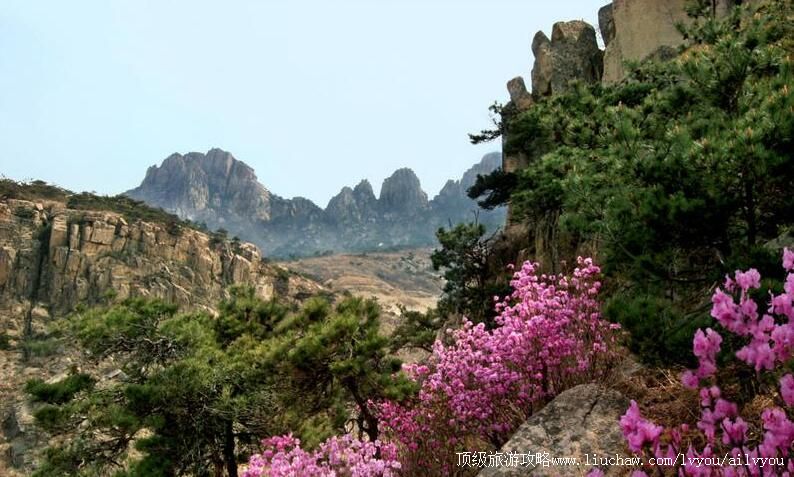 ɽ����̨������ɽ���ι���