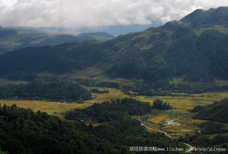 3Aɽ�������Ʒ�ɽ�������ι���