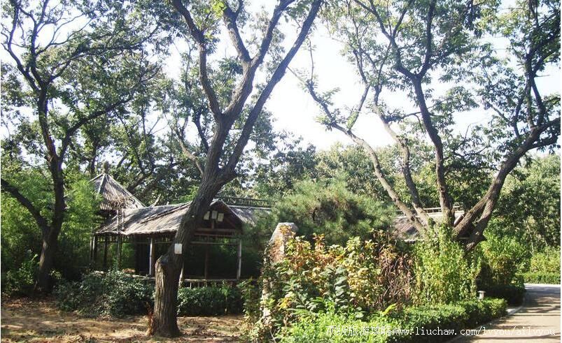 3Aɽ�������ܭ����԰���ι���