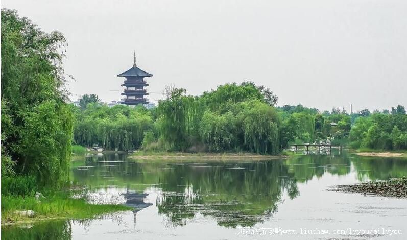 3A山东营丘白浪沙滩湿地公园旅游攻略