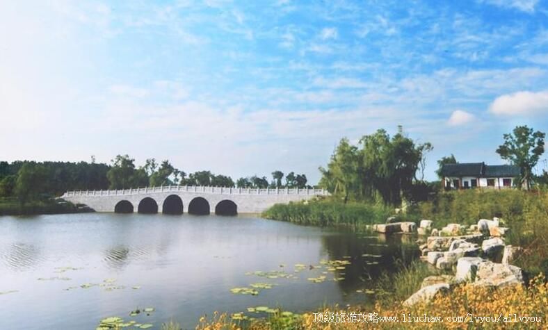 3Aɽ�������ֺ��Ļ����������ι���