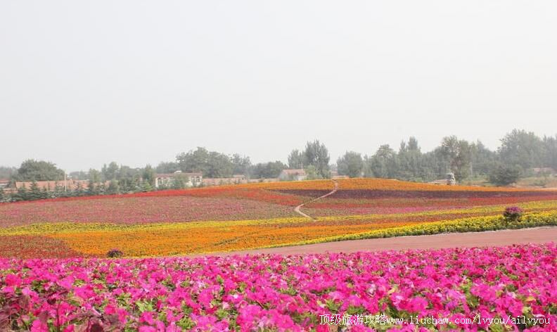 3Aɽ�����ݻ�����Բ�������ι���