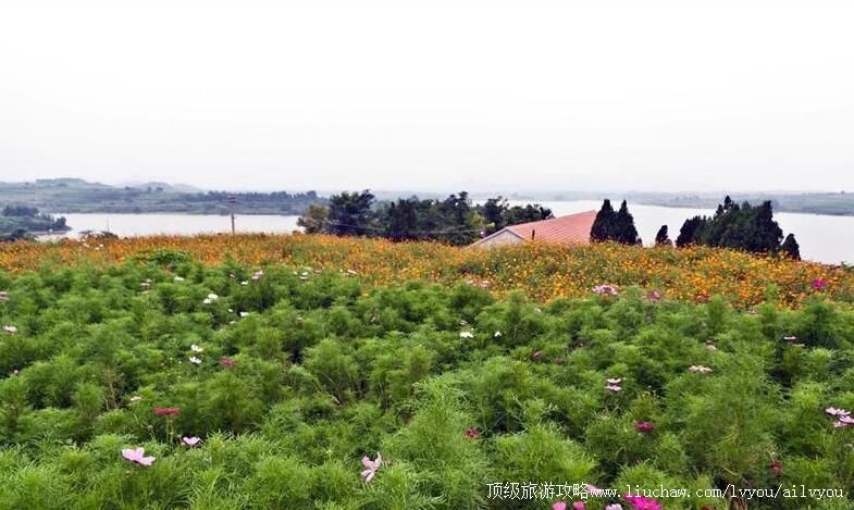 3Aɽ�����������Ȫ���������ι���