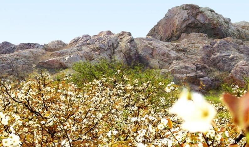 2Aɽ�����ذ�����԰���ι���