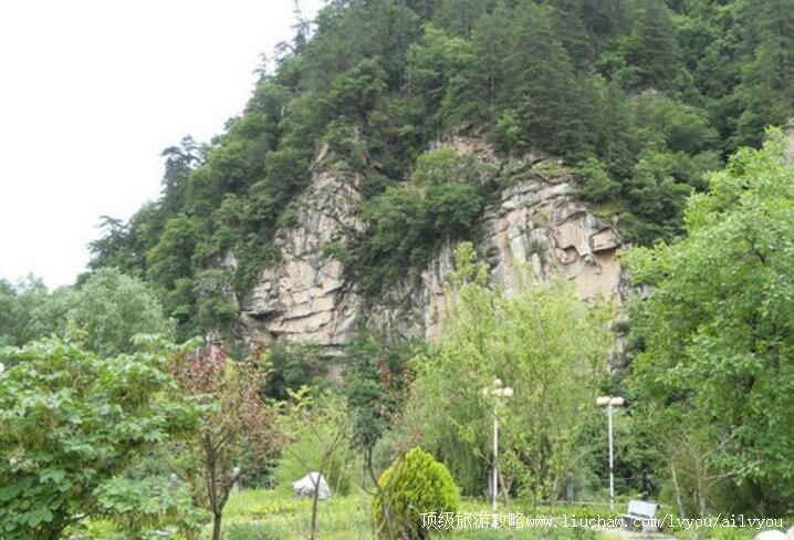 ������������ӹ������ι���