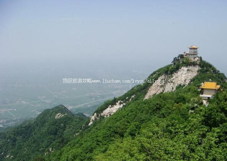 ������������̨�羰��ʤ�����ι���